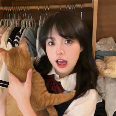 寻凶记